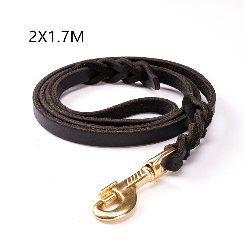 Dark brown leather dog leash