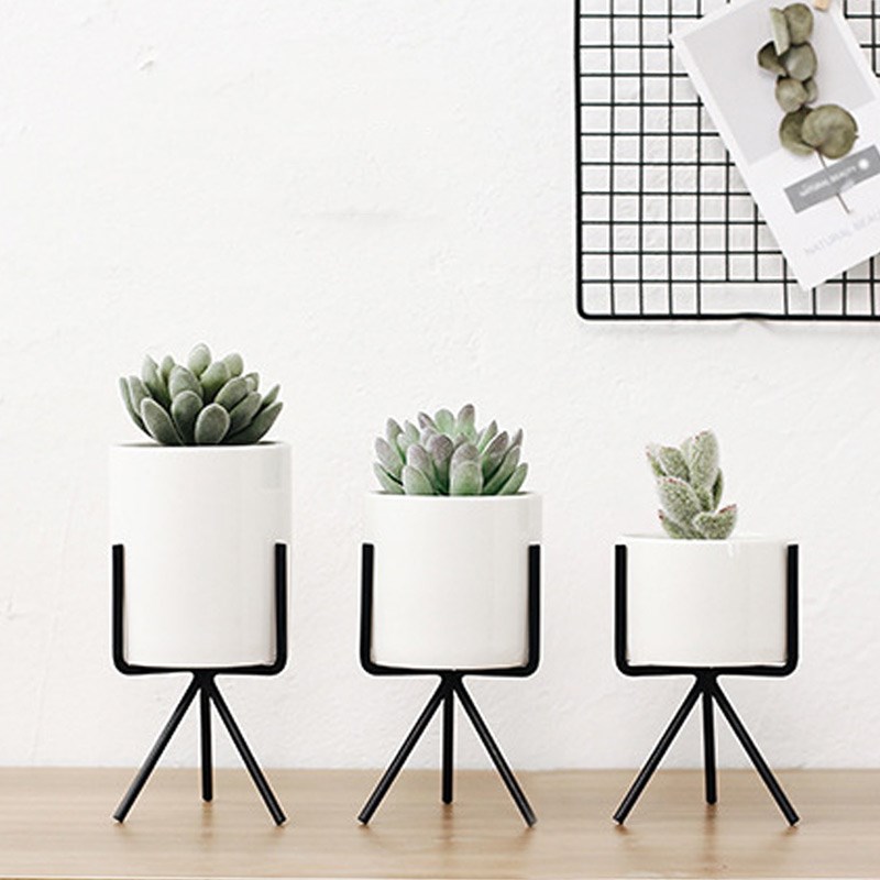 Succulent plant pot (Black-20cm)