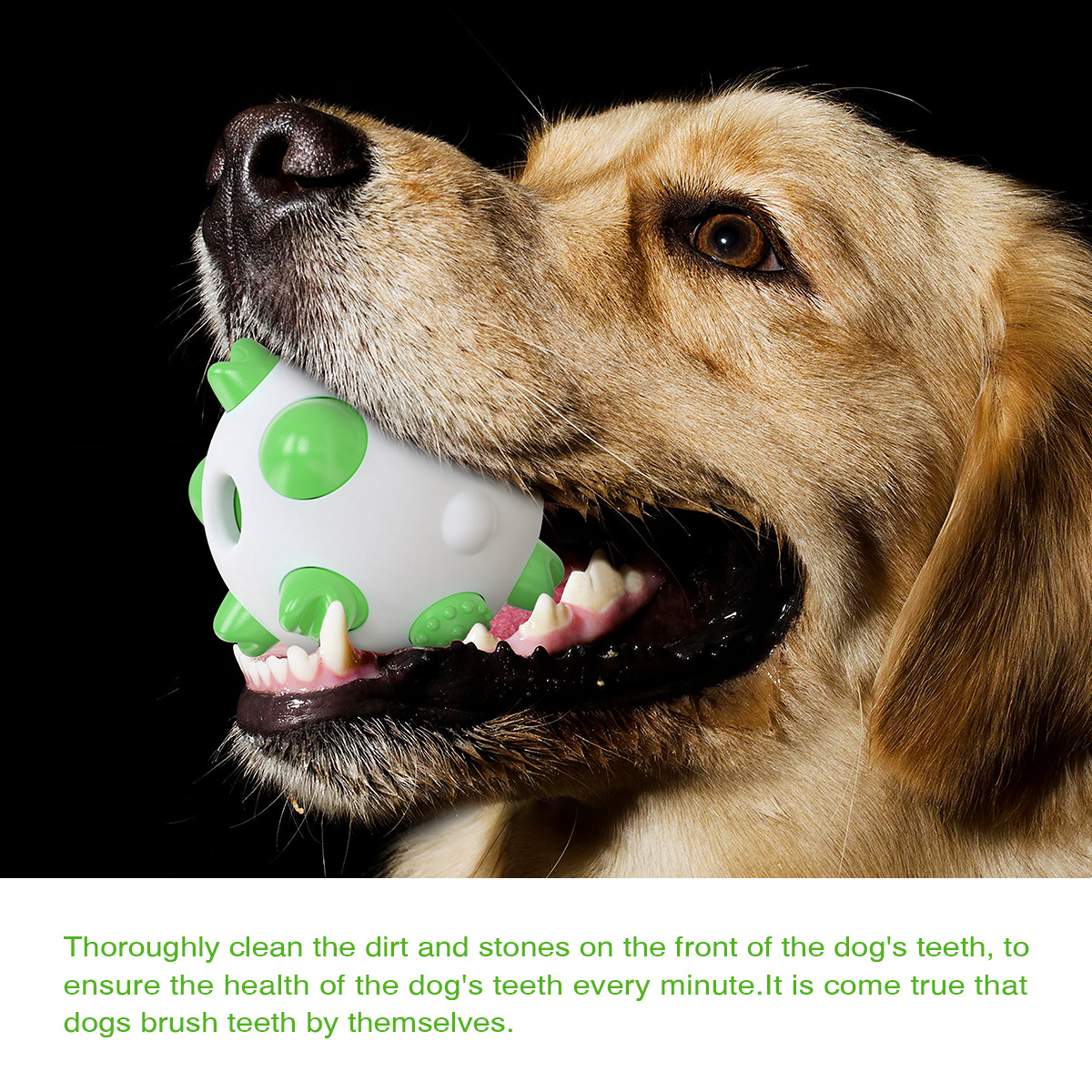 Spherical dog toy molar rod — foto 4