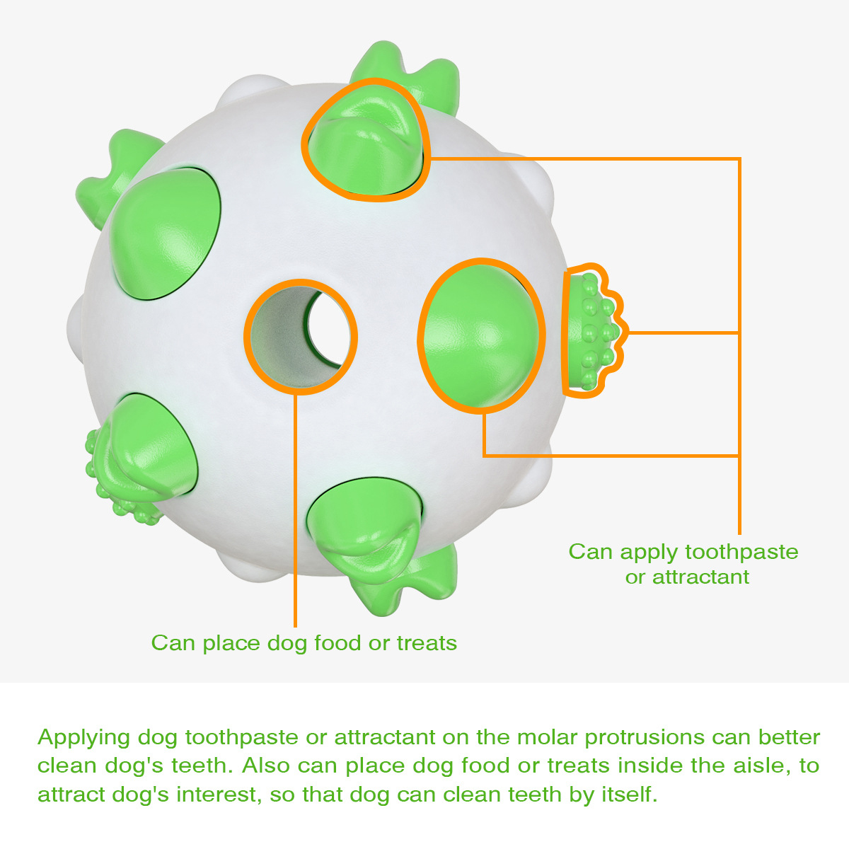 Spherical dog toy molar rod — foto 3