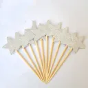 Five Pointed Star Silver