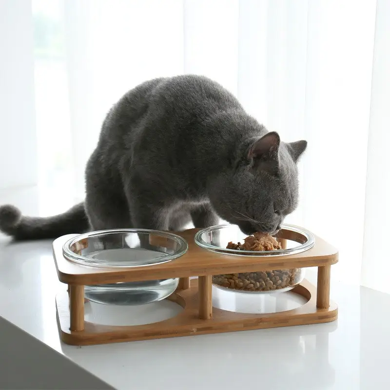 Glass cat bowl food