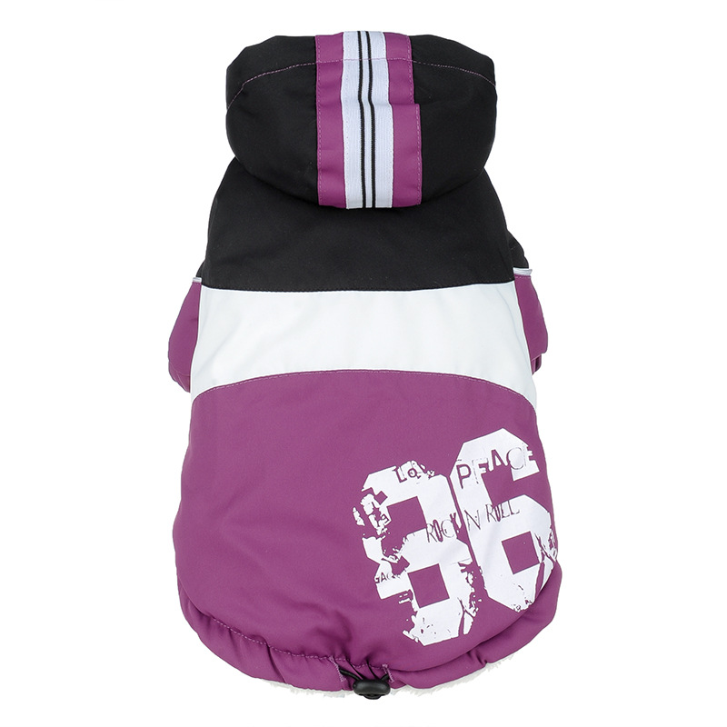 Thicken pet autumn and winter clothes Purple - Shop at LoveMi