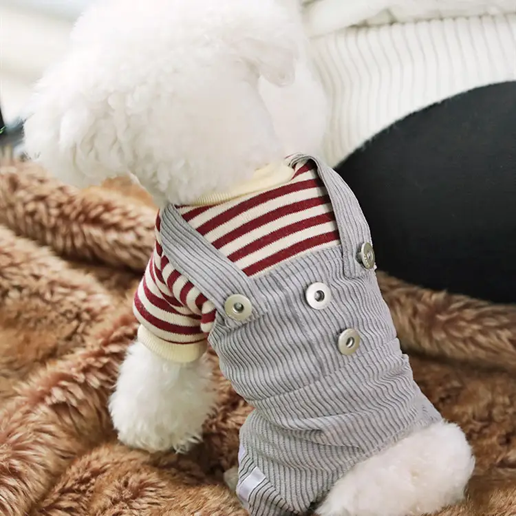 Dog thin autumn and winter clothes