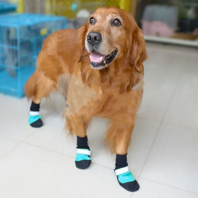 Super wear resistant oxford pet shoes Blue - Shop at LoveMi