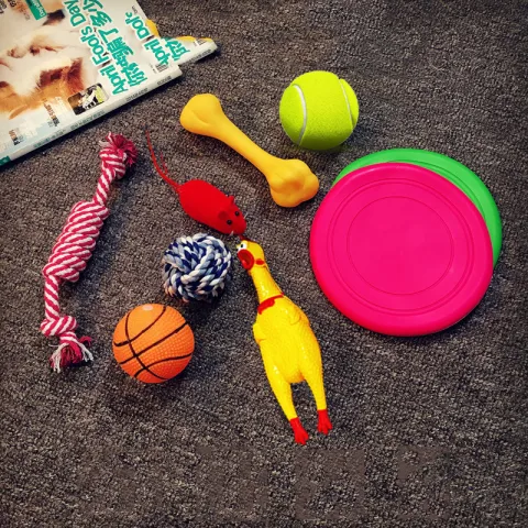 Vocal Dog Toy