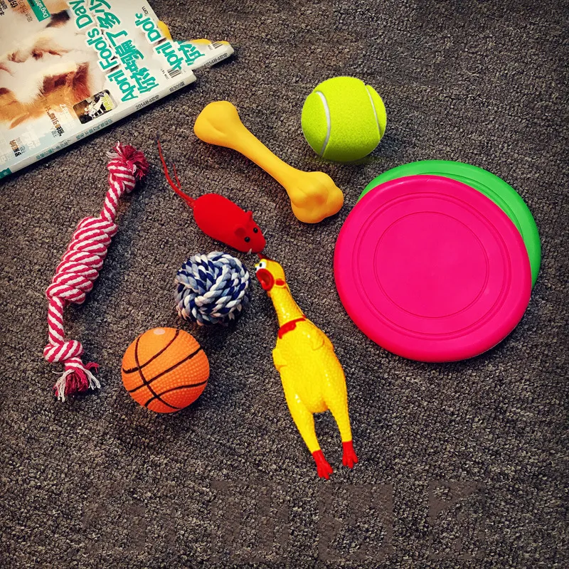 Vocal dog toy - Seta