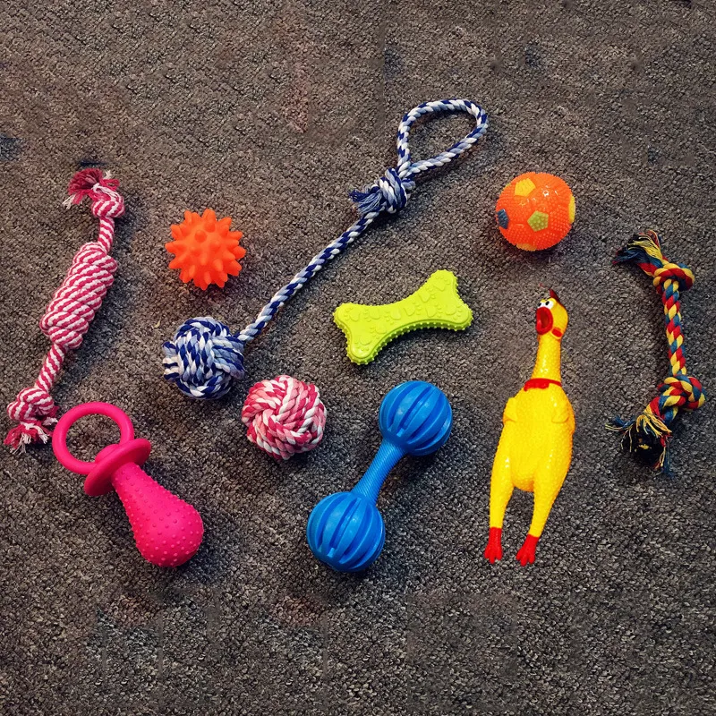 Vocal dog toy - Setc