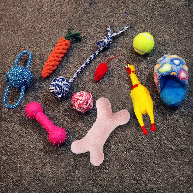 Vocal dog toy Setg - Shop at LoveMi