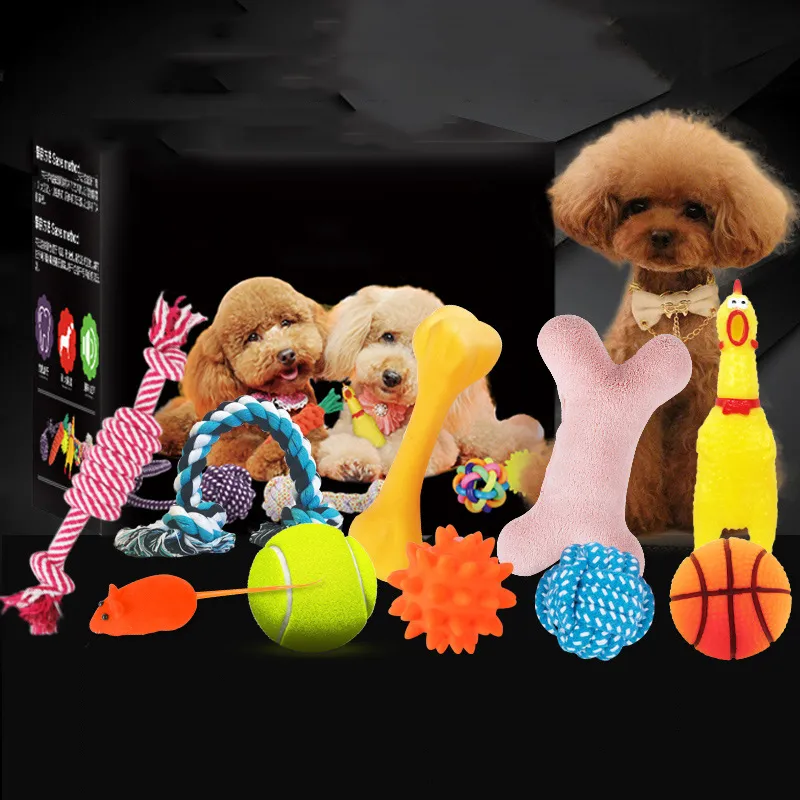 Vocal dog toy - Setb