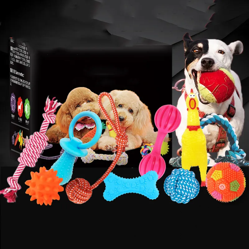 Vocal dog toy - Setd
