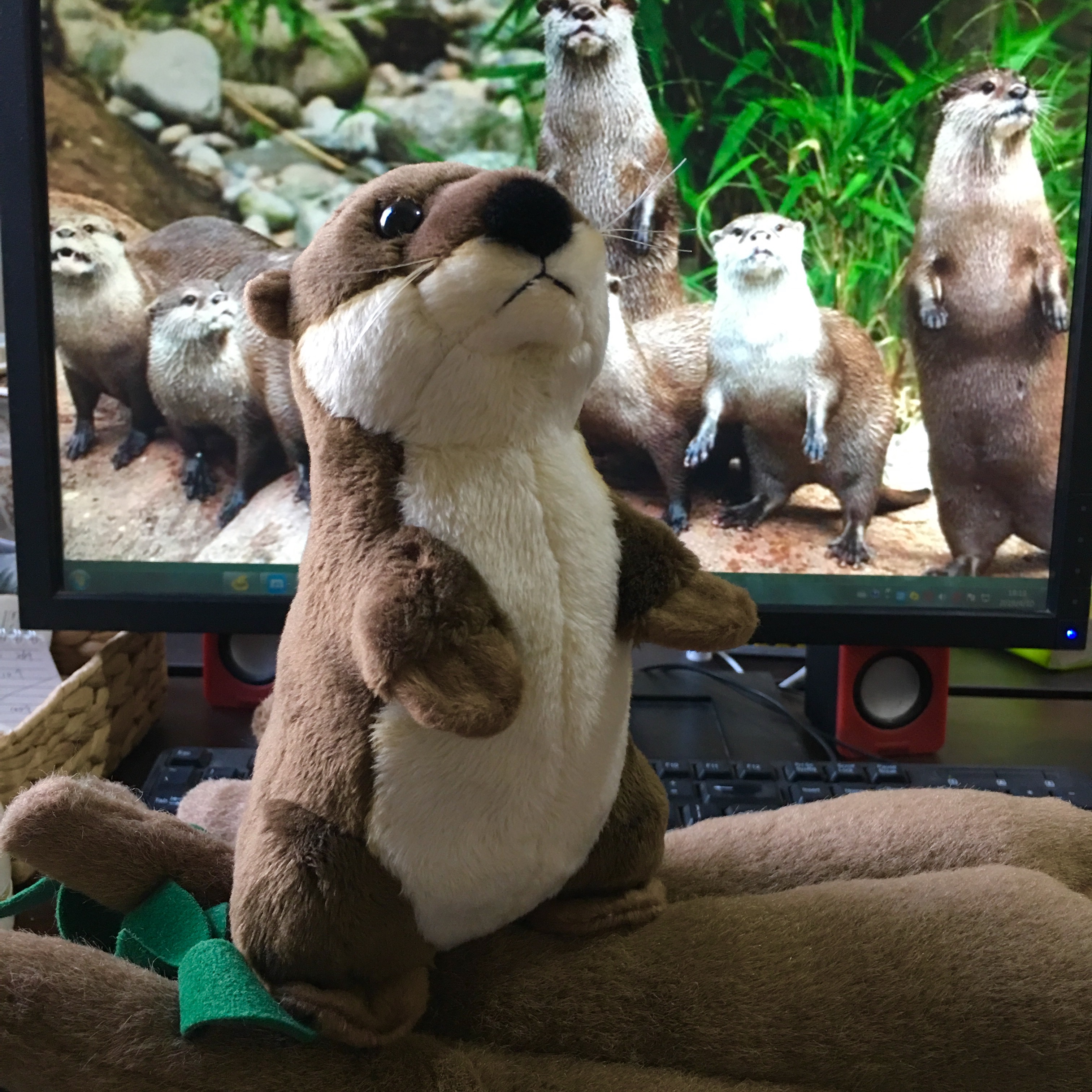 Mascot otter plush toy