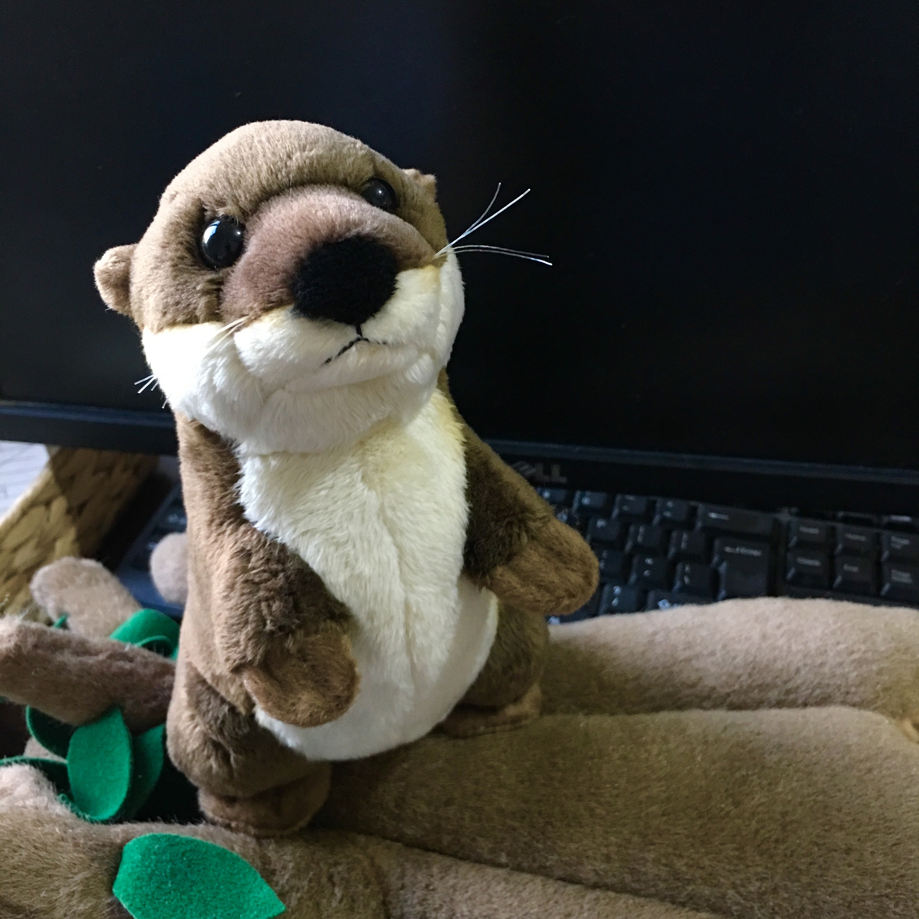 Mascot otter plush toy