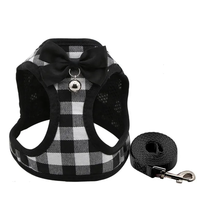 Pulling chest back cat walking rope Black And White - Shop at LoveMi