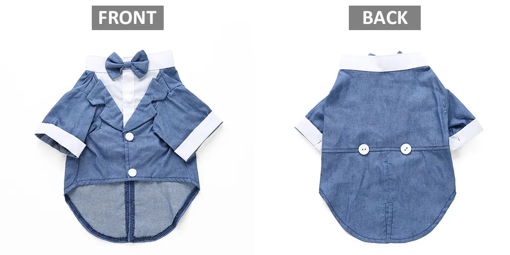 Pet dog suit - Blue Bow Tie