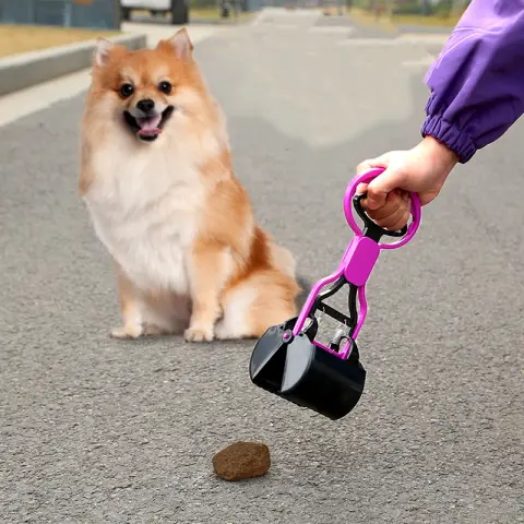 Puppy Poop Picking Up Toilet
