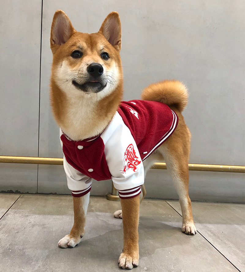 Pet cotton baseball uniform — view 4