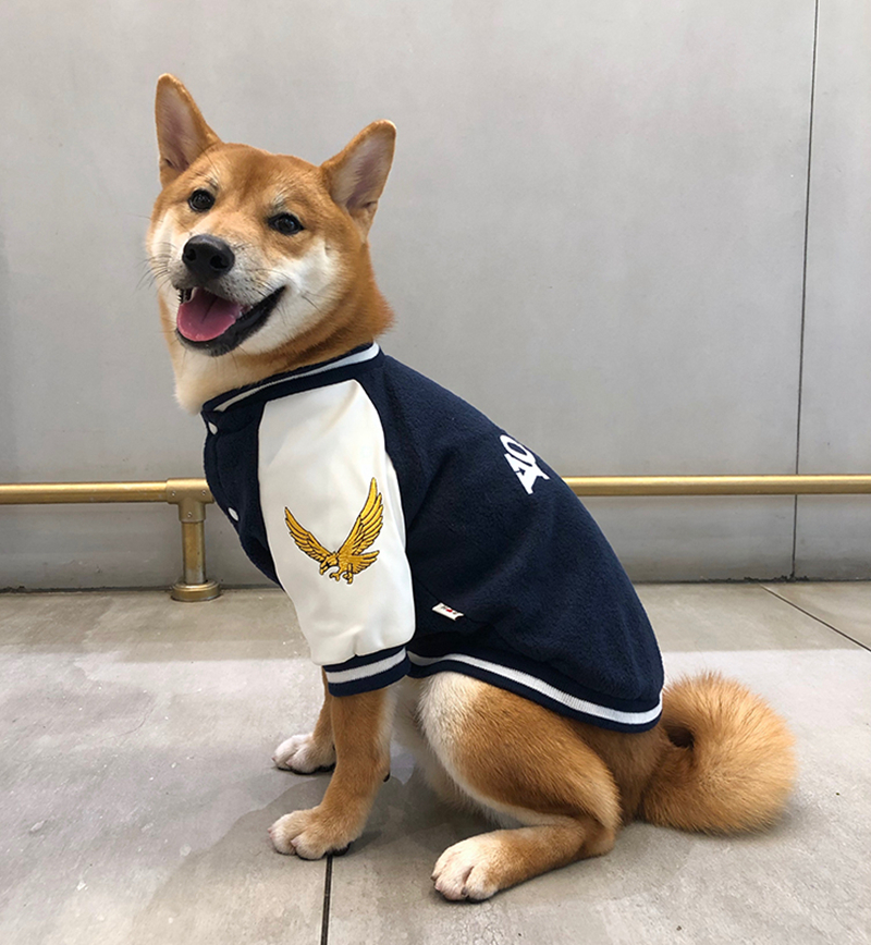 Pet cotton baseball uniform — view 5