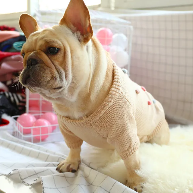 Christmas pet dog clothes White - Shop at LoveMi