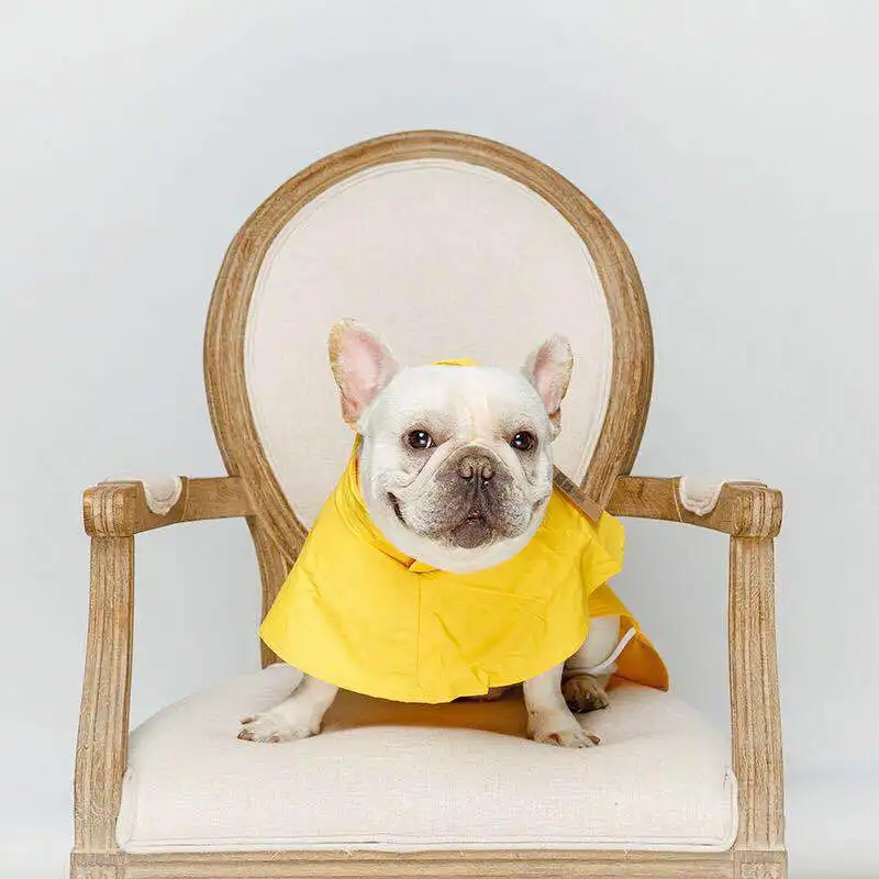 Waterproof pet raincoat