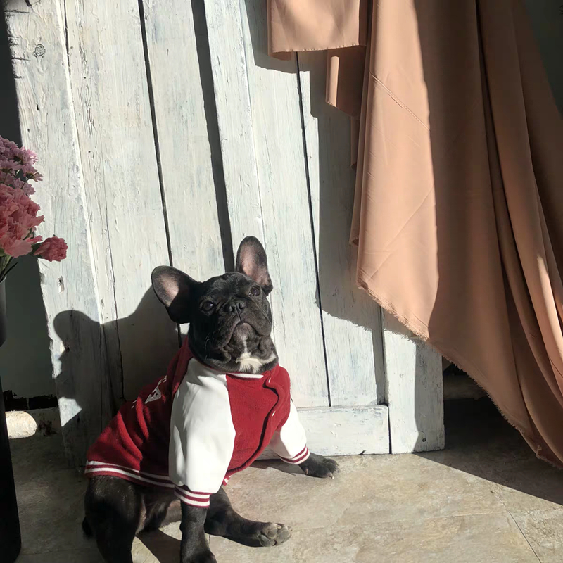 Pet cotton baseball uniform — view 3