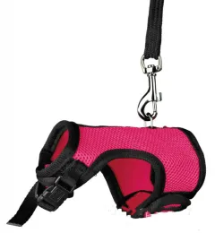 Small pet leash - Rose Red - View 1