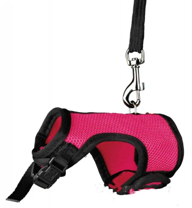 Small pet leash Rose Red - Shop at LoveMi