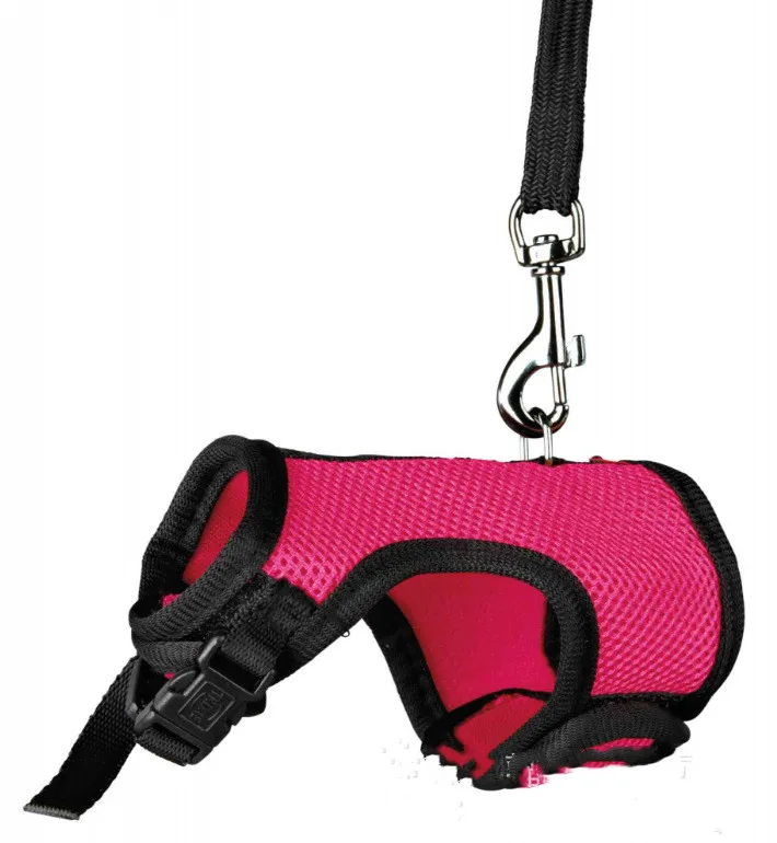 Small pet leash - Rose Red