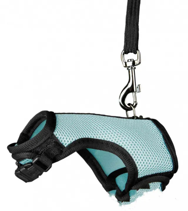 Small pet leash Sky Blue - Shop at LoveMi
