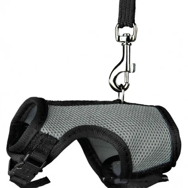 Small pet leash Grey - Shop at LoveMi