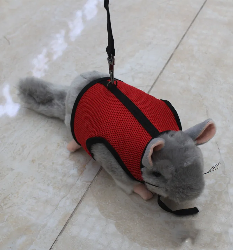 Small pet leash - Red