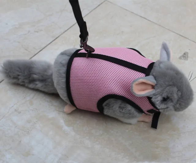 Small pet leash Pink - Shop at LoveMi