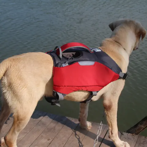 Pet Backpack Life Jackets
