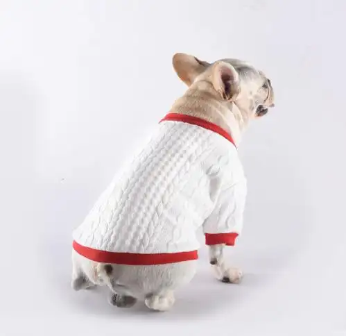 Pet base coat