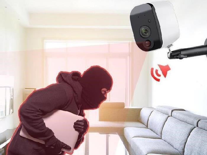 Solar Powered Wireless Surveillance Camera — foto 7