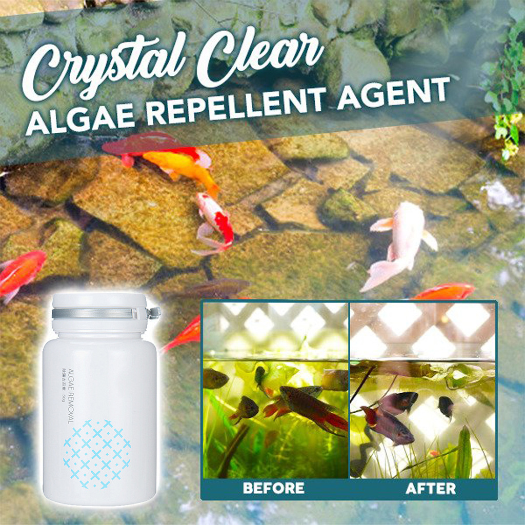 Algae removal and moss removal for swimming pools