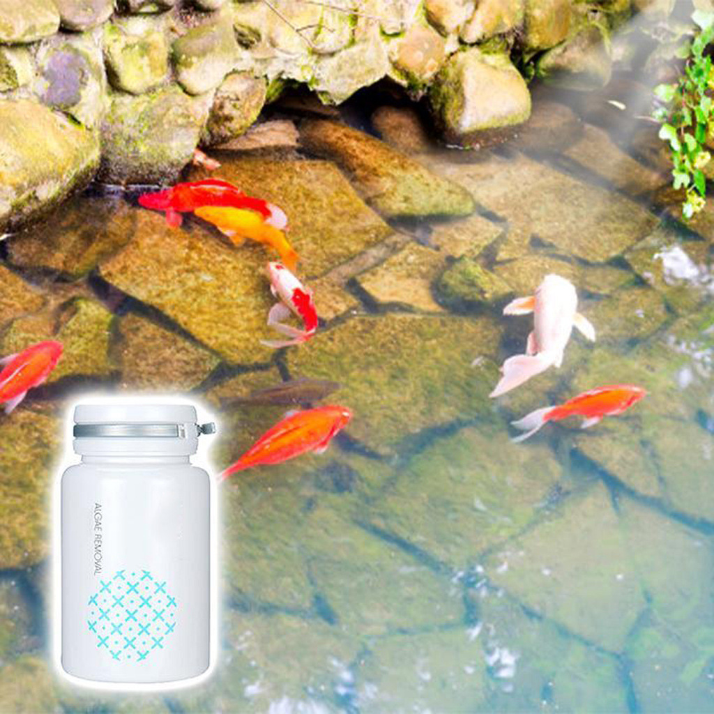 Algae removal and moss removal for swimming pools