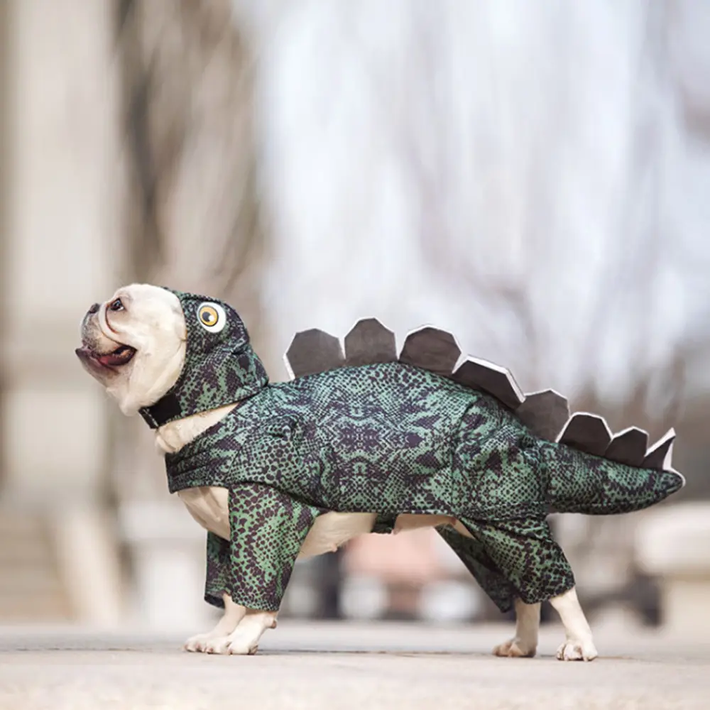 Pet Dinosaur Clothes
