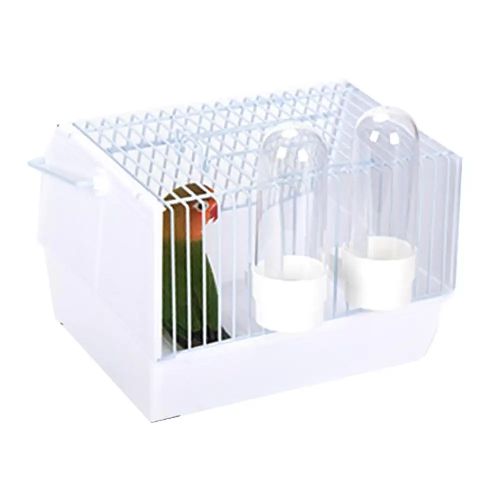 Out of the bird cage — White