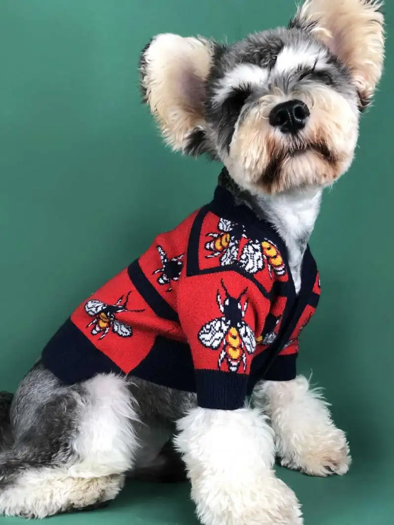 Warm Dog Sweater for Autumn and Winter Pet Clothing — Red, S