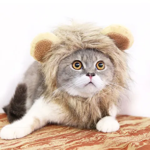 Funny Pet Hat for Small Dogs Cats Hat Emulation