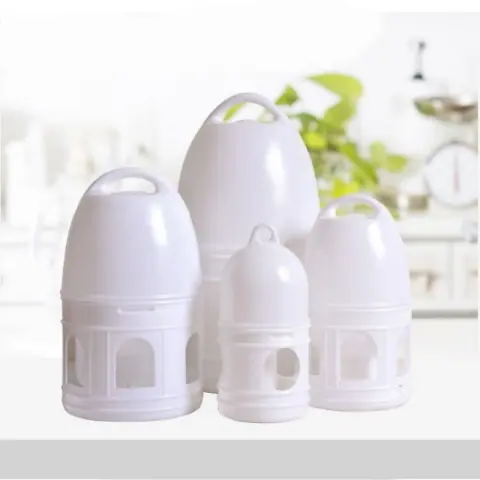 Pigeon Drinking Bottle