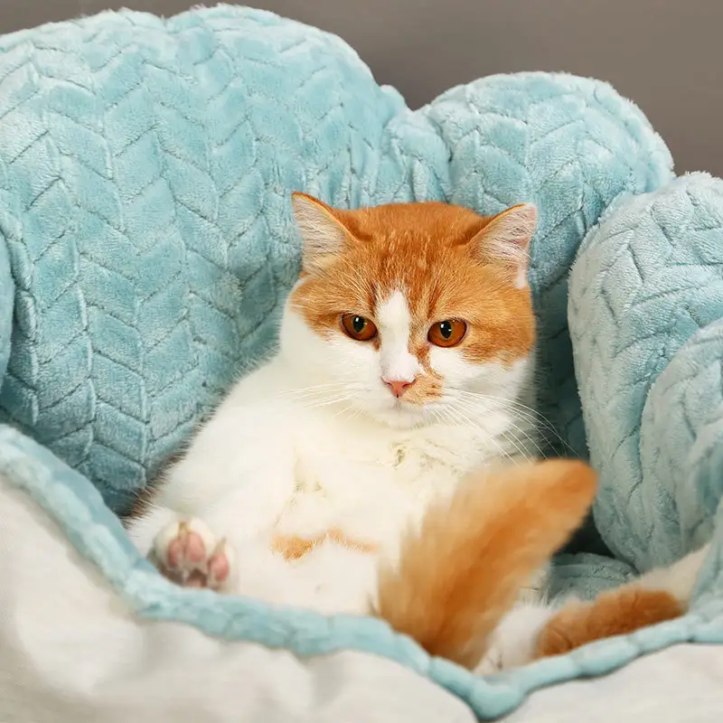 Thick Petals Pet AutumnWinter Cat Nest