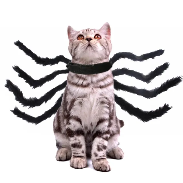 Pet Cat Dog Halloween Creative Spider Costume Black - Shop at LoveMi