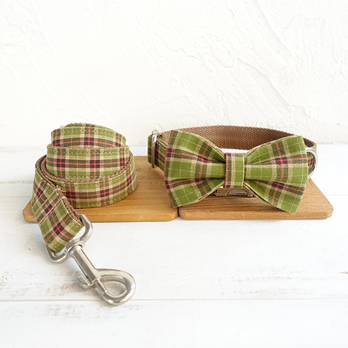 BowTie Collar Leash