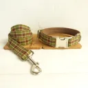 Dog Collar Leash Set