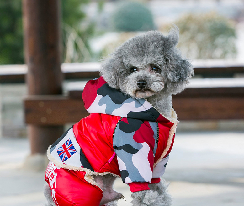 Dog winter warm coat clothes — view 6