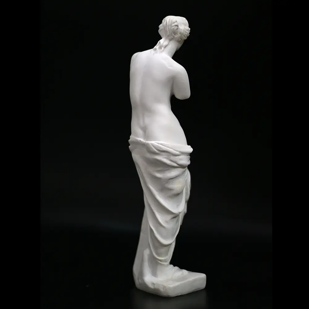 Art student sketch Venus plaster