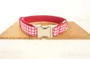 Dog Collar