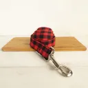 Dog Leash